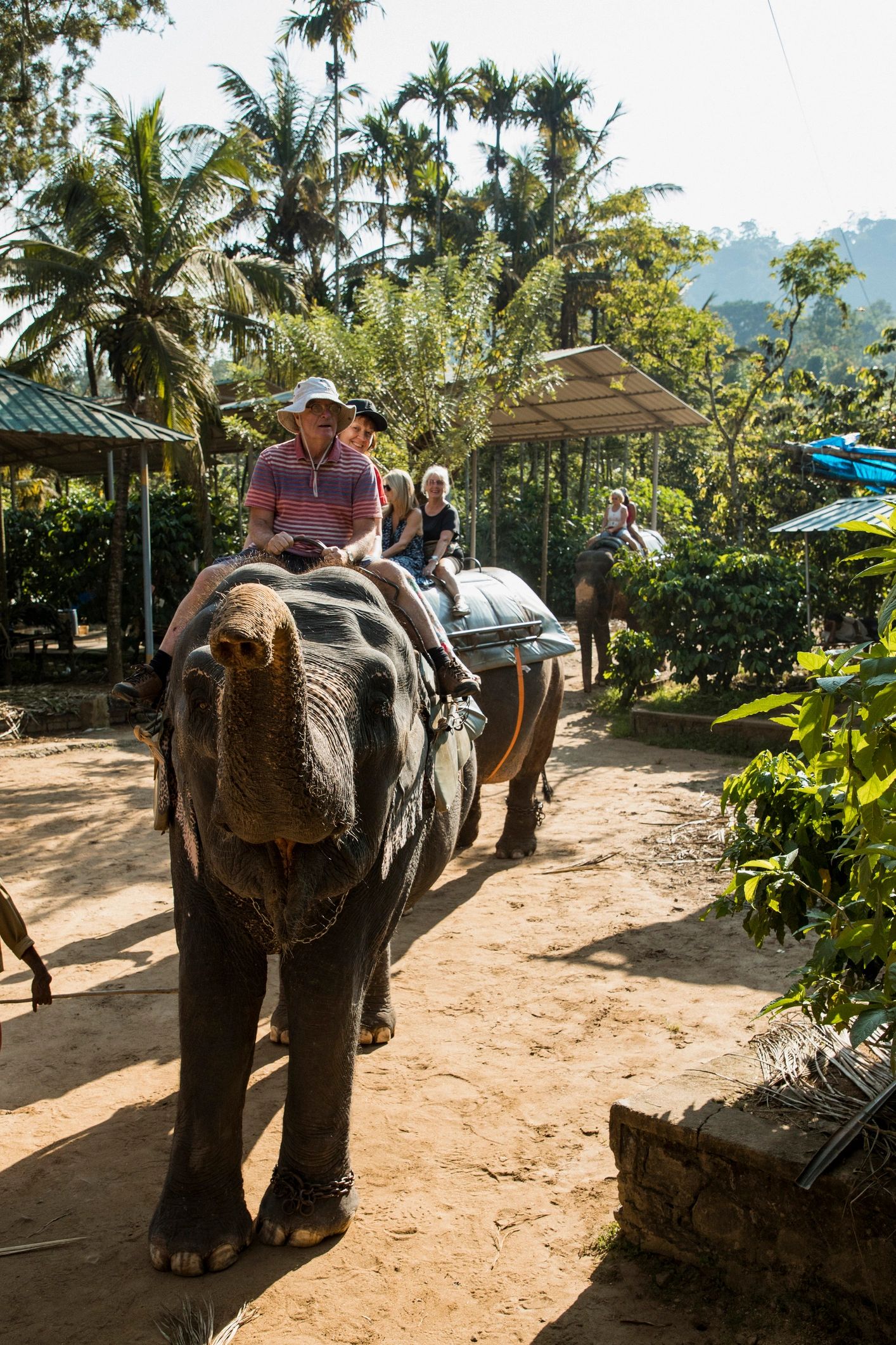 Kerala tourism landscape