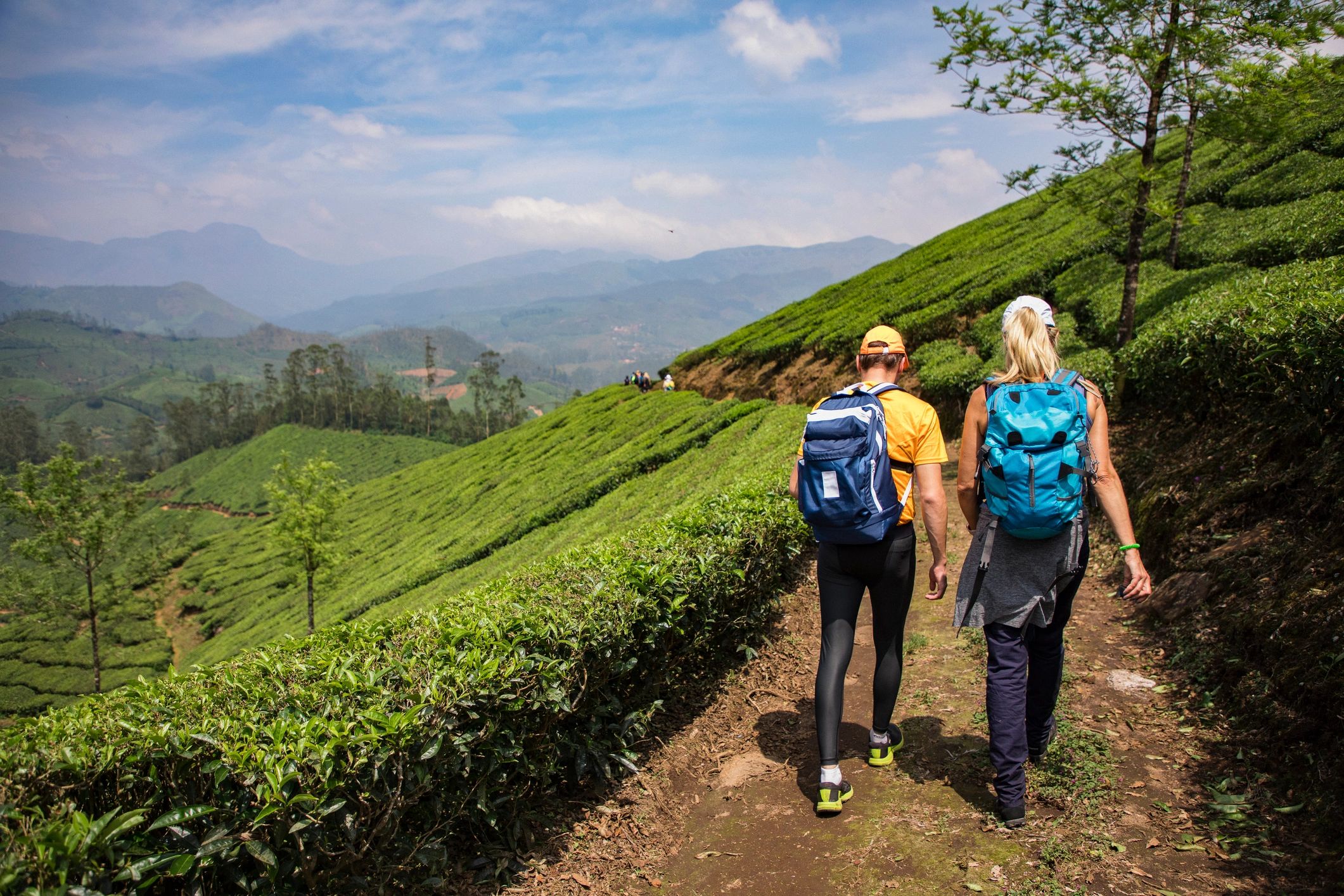 Kerala tourism landscape