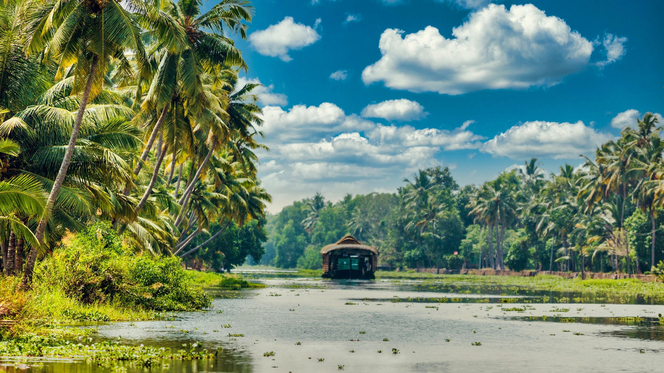 Kerala tourism landscape