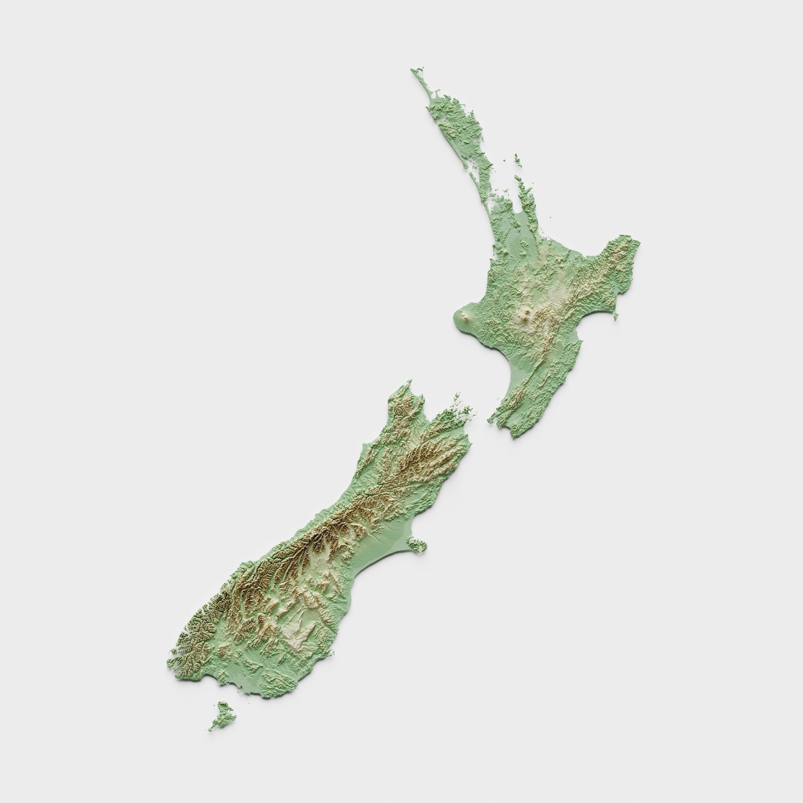travel planning South India New Zealand