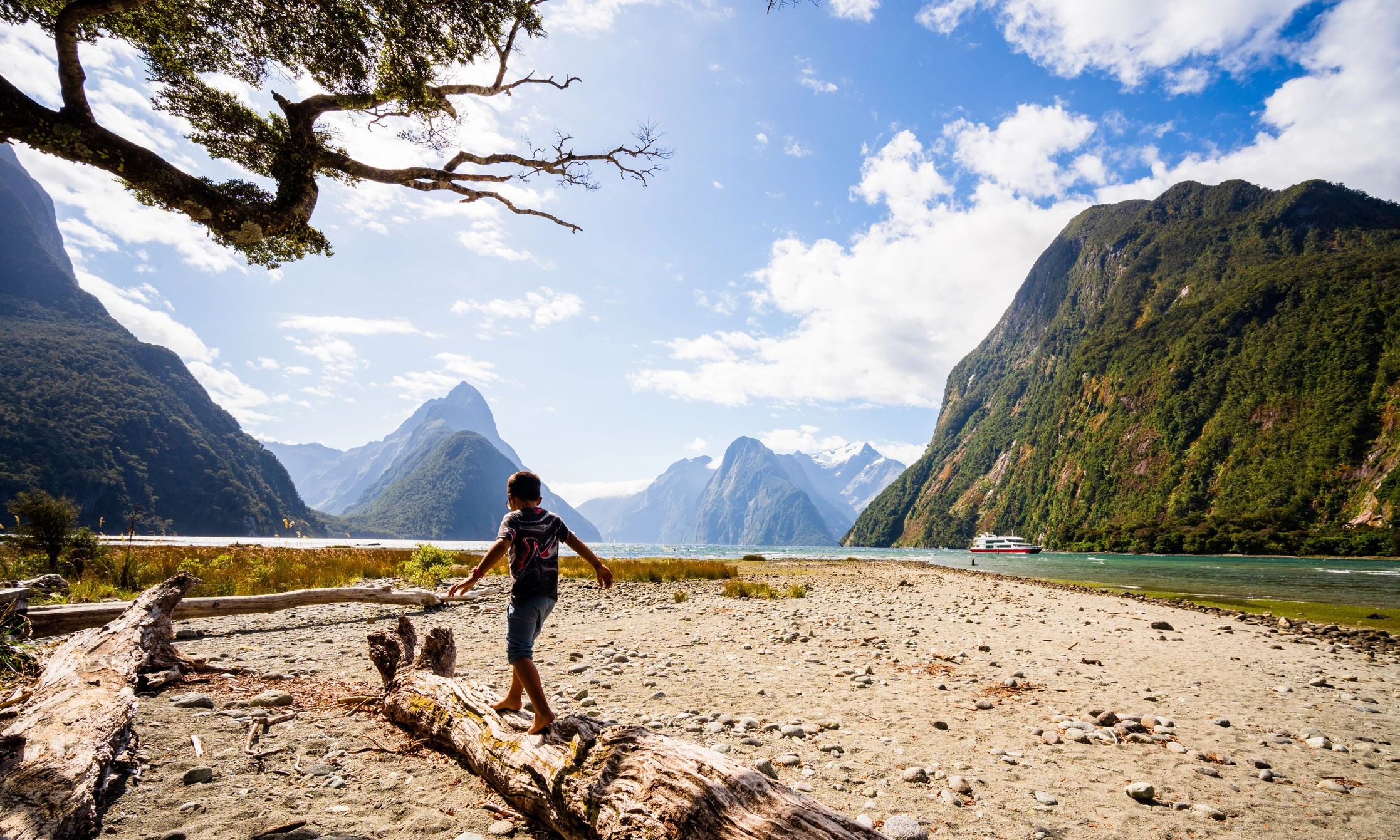 Maori heritage New Zealand