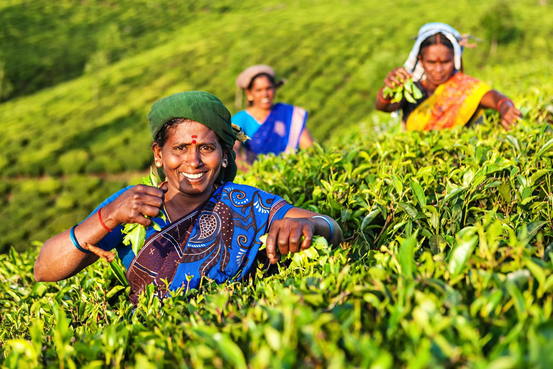Kerala culture