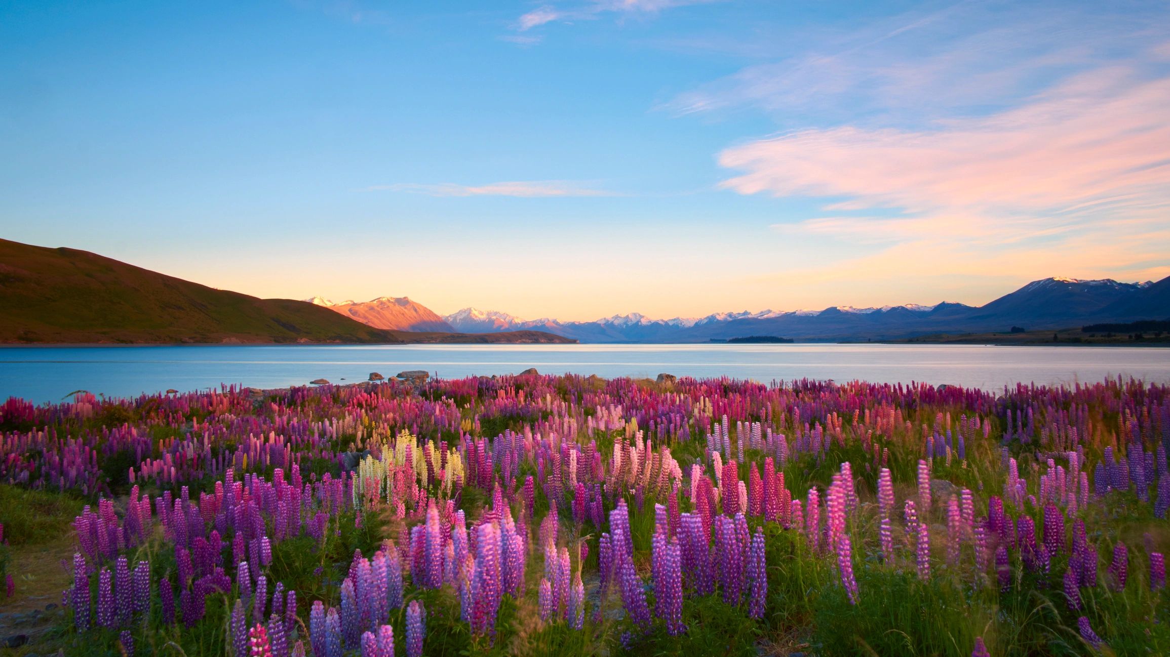 Lake Tekapo New Zealand
