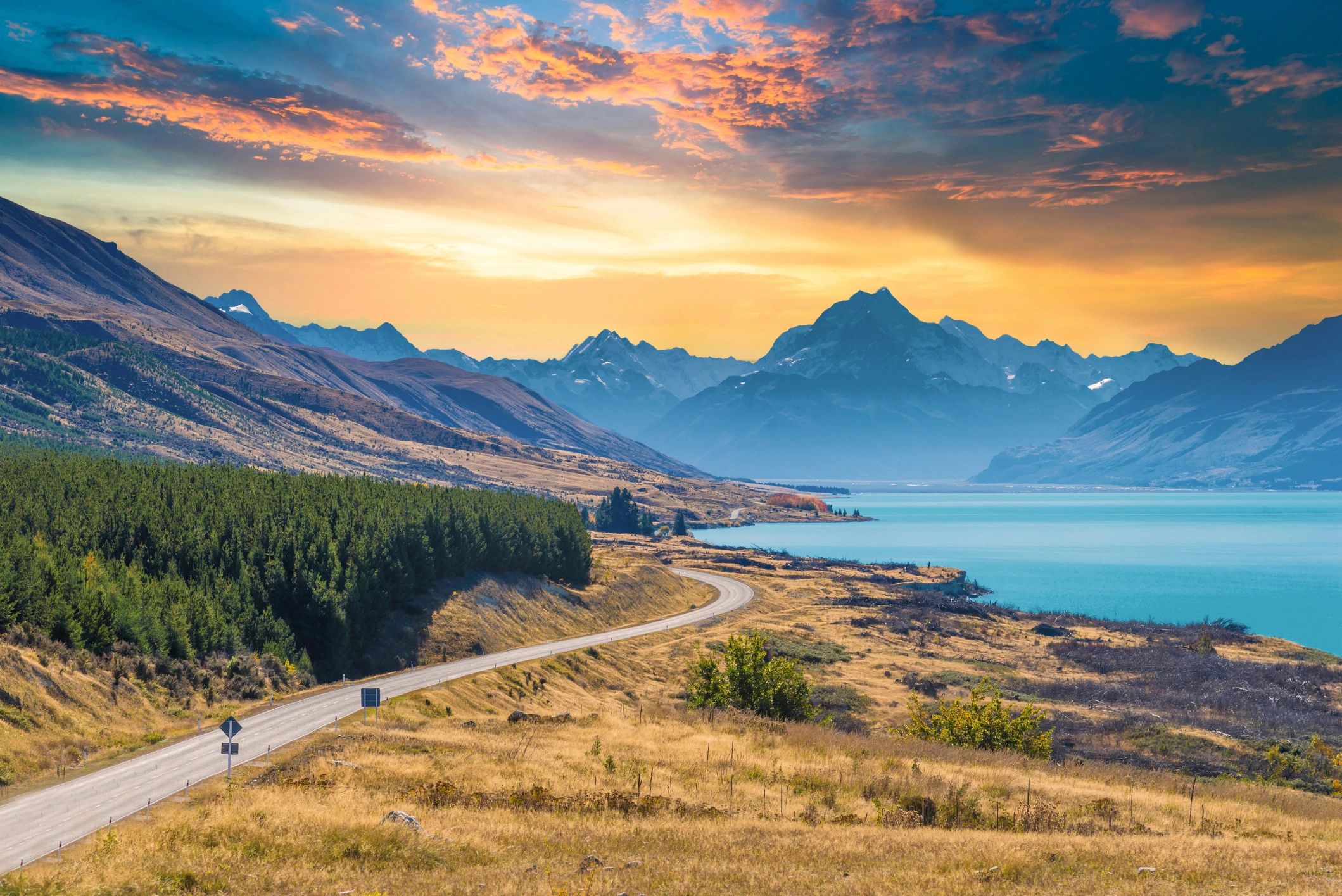 New Zealand travel video placeholder